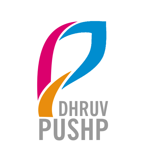 Dhruv Pushp Systems